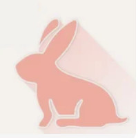 das Kaninchenfleisch