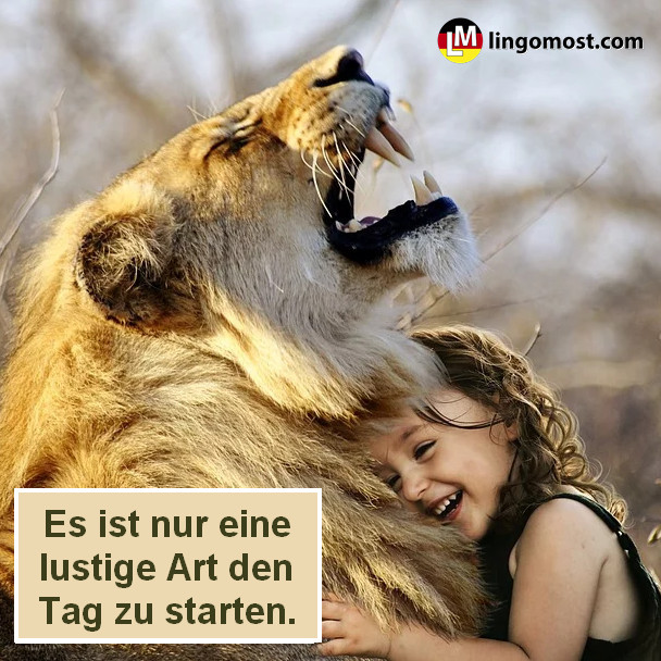 Собираем фразу. Eine lustige Art.