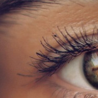 die Wimper
