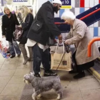 die Liebenswürdigkeit