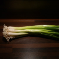 die Frühlingszwiebel