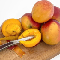 die Mango