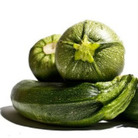 die Zucchini