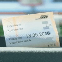 die Fahrkarte